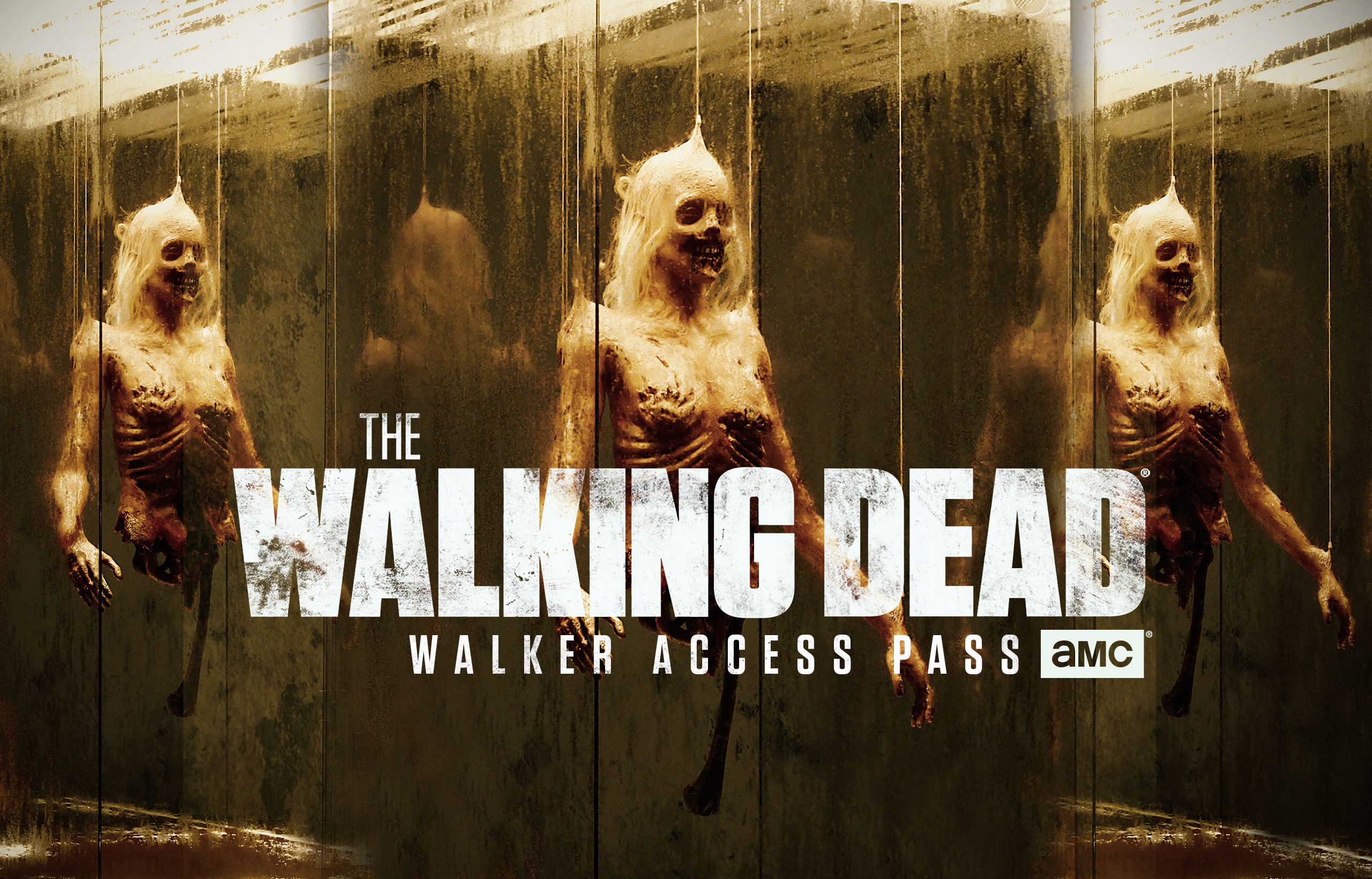 TWD - Featured - Walker Access Pass Collection - NFT Collections by Orange Comet