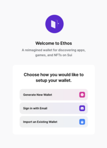 How to Set Up Your Sui Ethos Wallet - Welcome